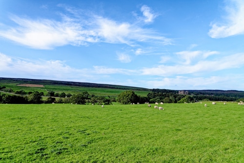 county durham countryside