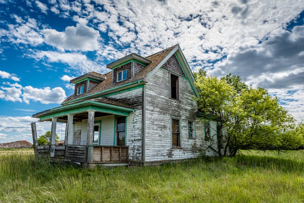 derelict house with tree growing up against it