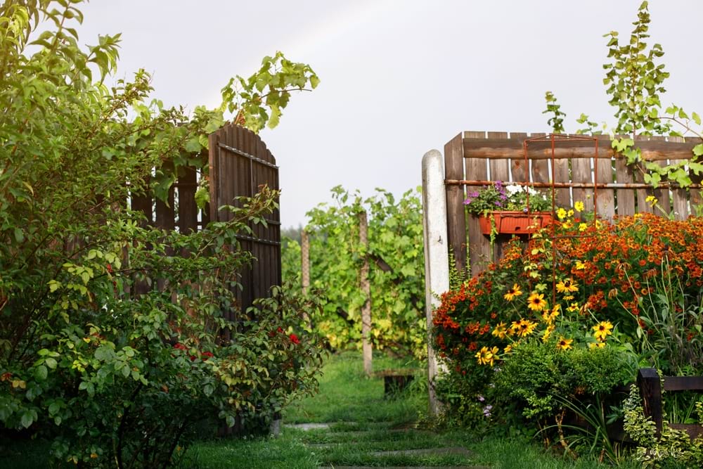 Can Your Landlord Enter Your Garden Without Permission (UK)?